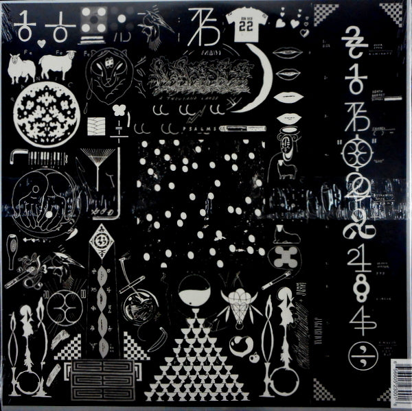 BON IVER 22 a million LP