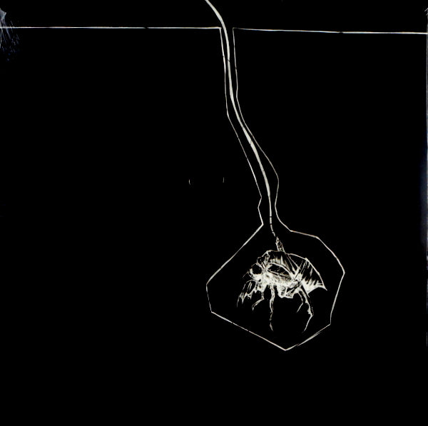 BOSS HOG brood star 12"