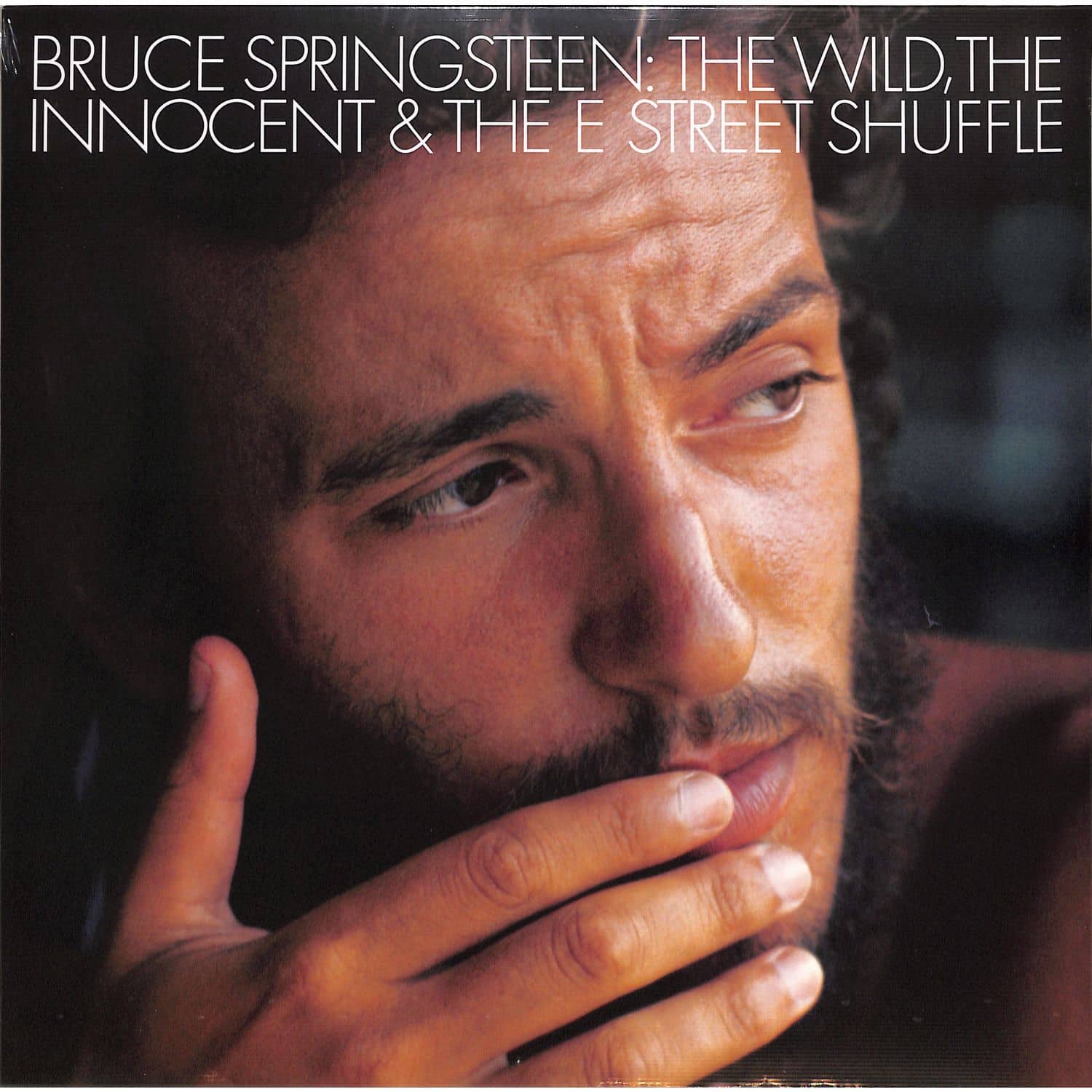 the wild the innocent & the e street shuffle
