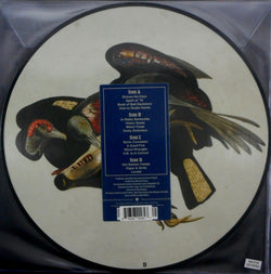 book of bad decisions - pic disc