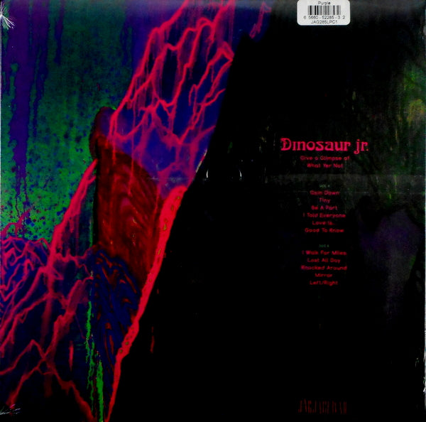 DINOSAUR Jr give a glimpse of what yer not LP