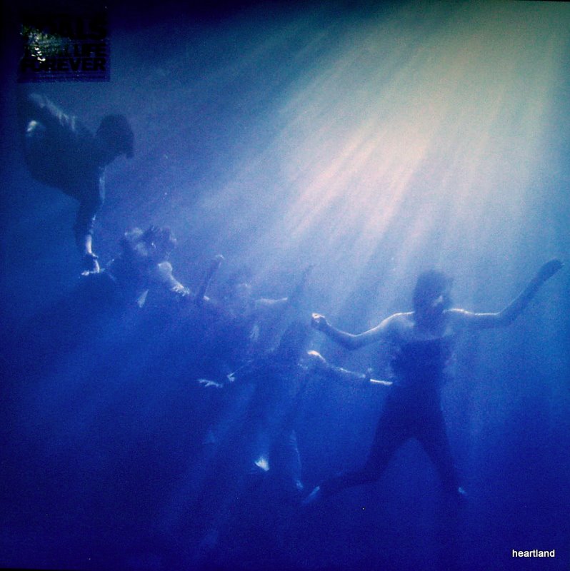 foals - total life forever LP