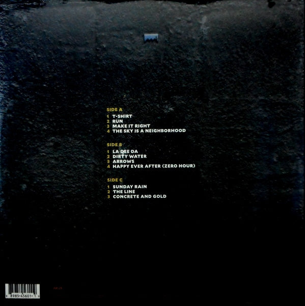 FOO FIGHTERS concrete and gold LP