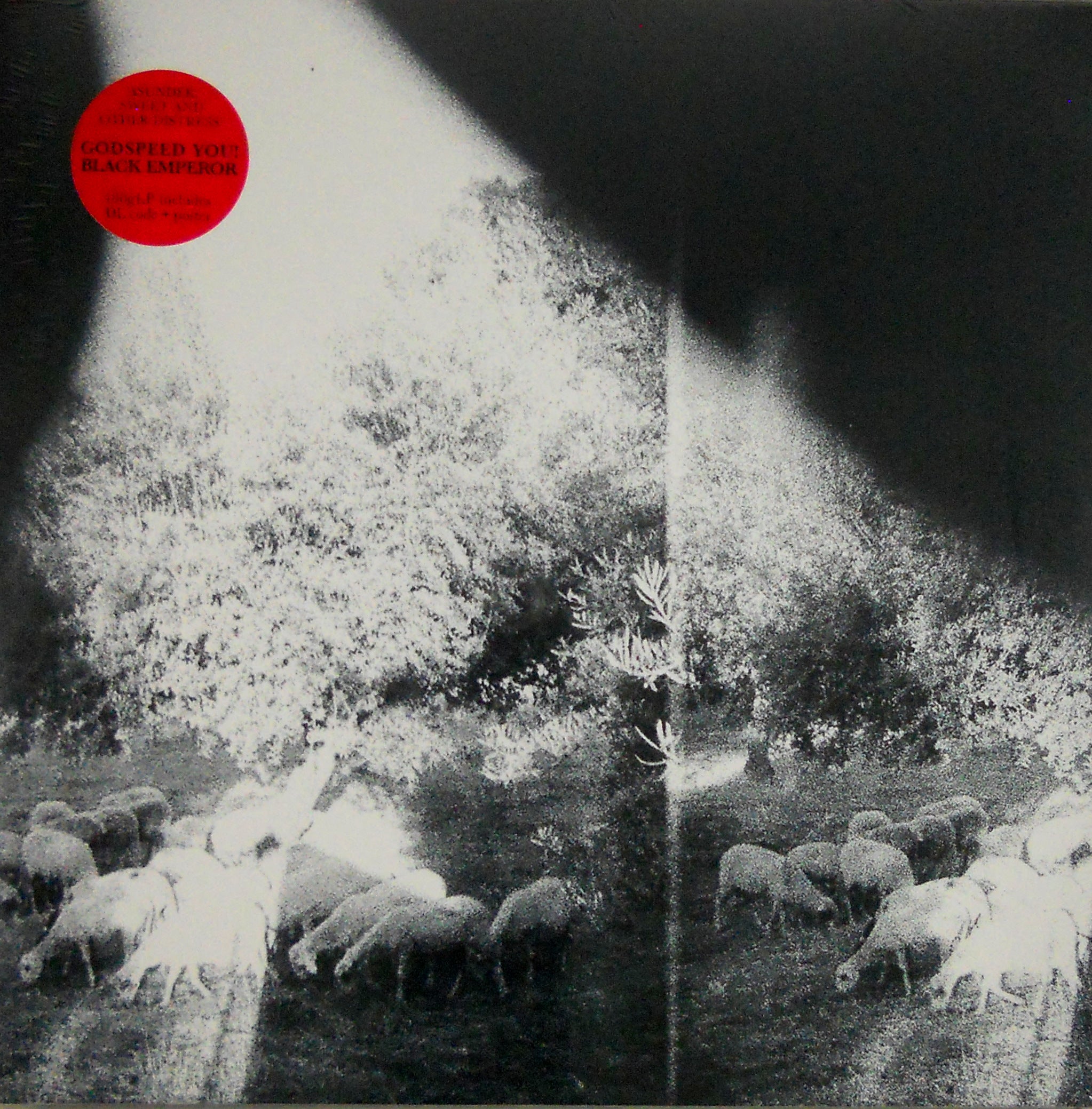 GODSPEED YOU BLACK EMPEROR asunder sweet and other distress LP