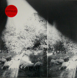 GODSPEED YOU BLACK EMPEROR asunder sweet and other distress LP