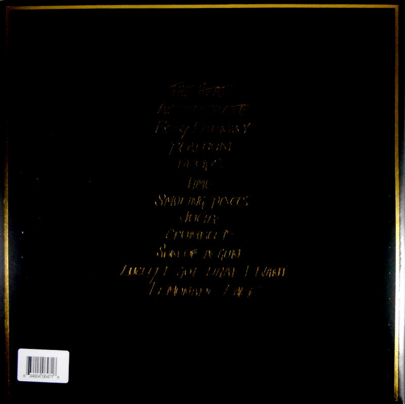 jungle self titled lp back