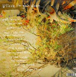 VILE, KURT b'lieve I'm goin down LP back