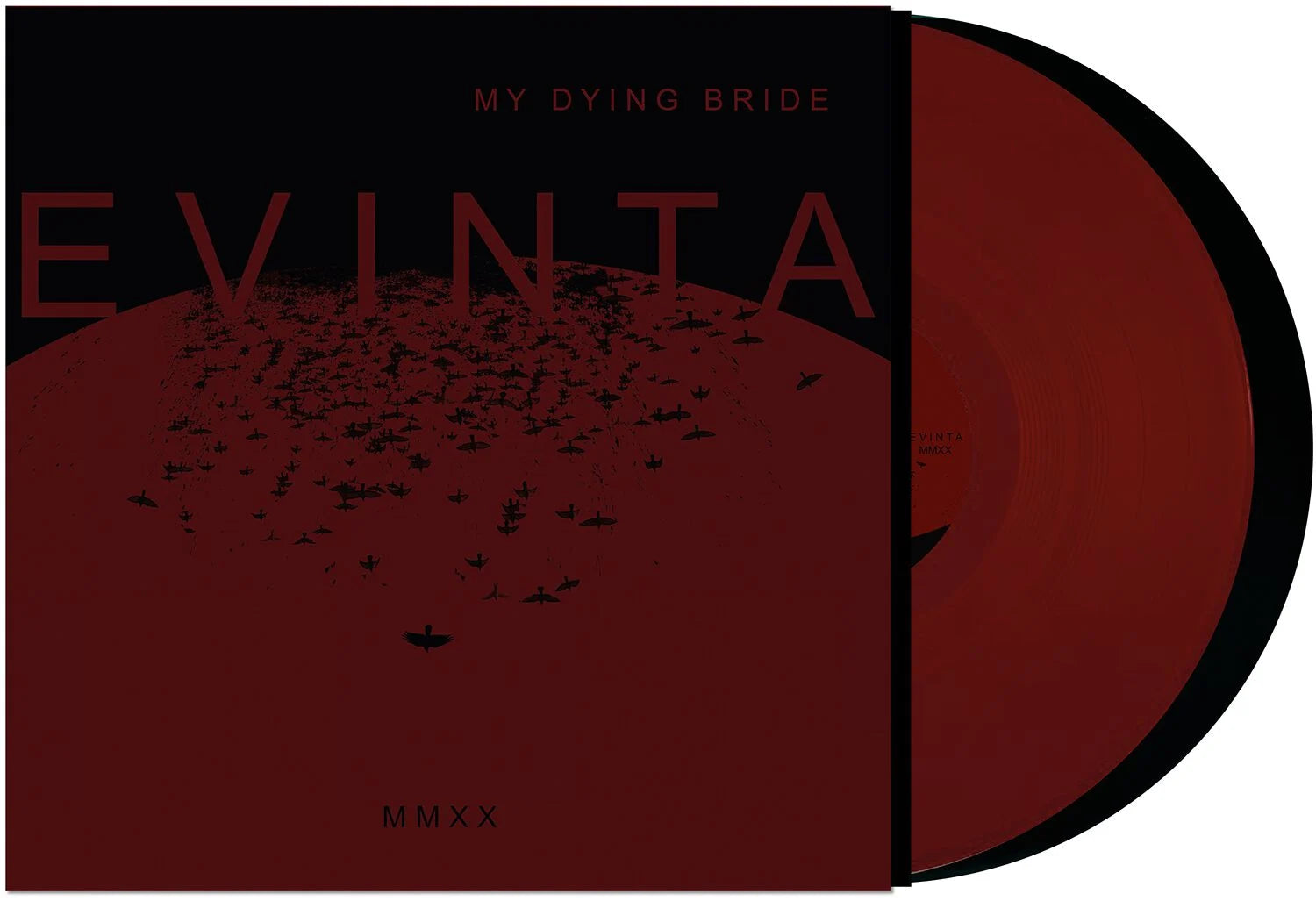 evinta mmxx - Col Vinyl LP