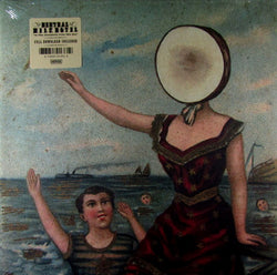 in the aeroplane over the sea