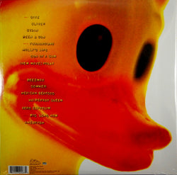 NIRVANA incesticide - delux LP LP