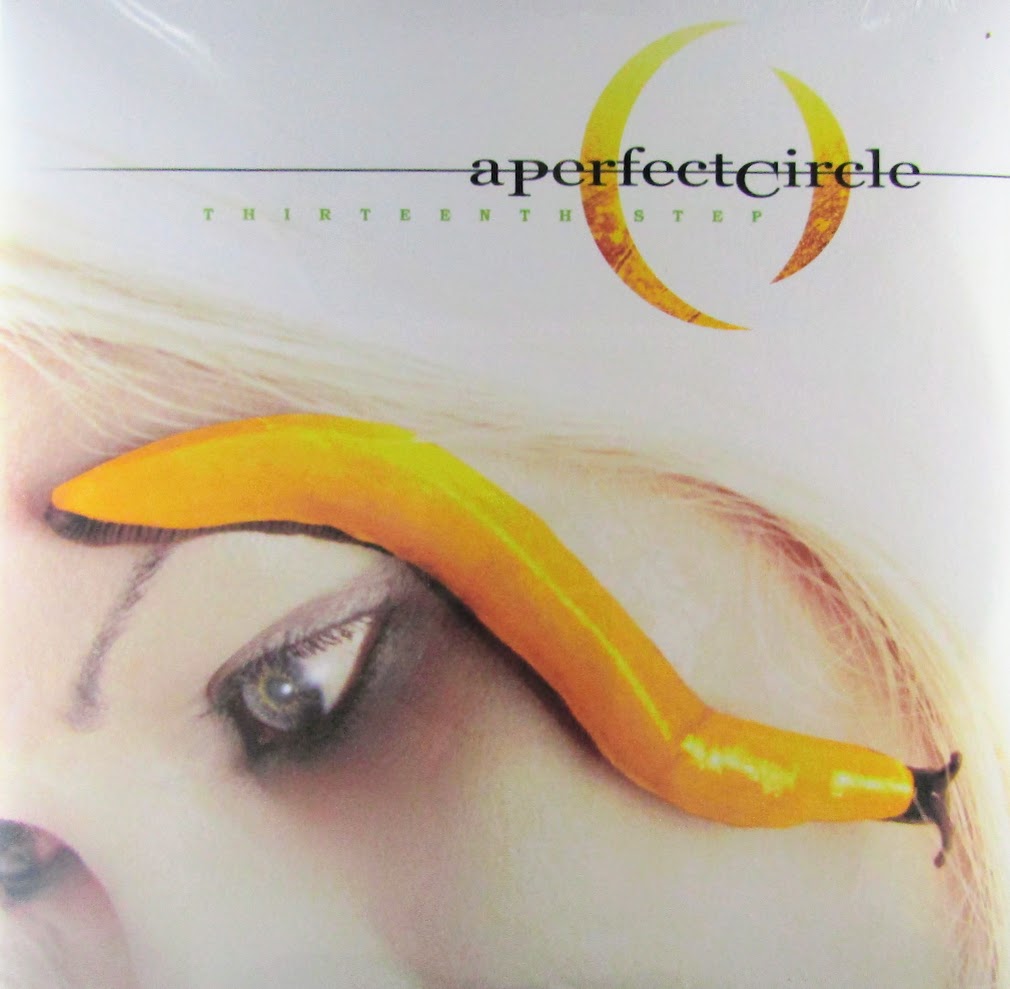 thirteenth step