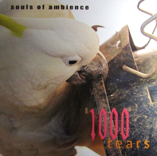 Heartland Records