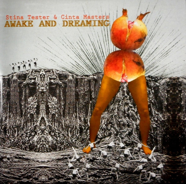 TESTER, STINA & CINTA MASTERS awake and dreaming LP