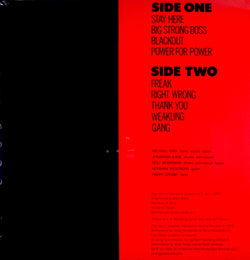 swans filth usa poster lp