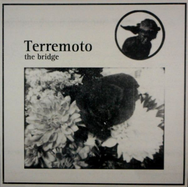 the bridge
